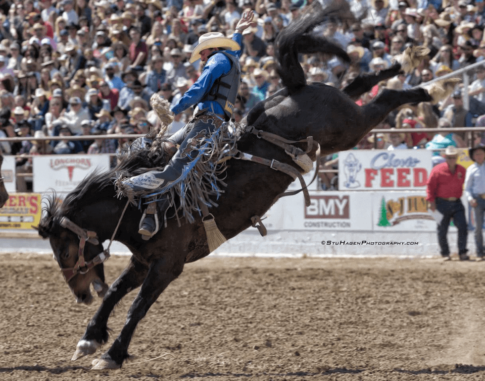 Clovis Rodeo